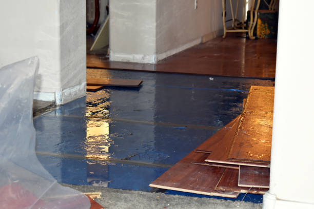 Professional Burst Pipe Cleanup technician working in Blandford, MA